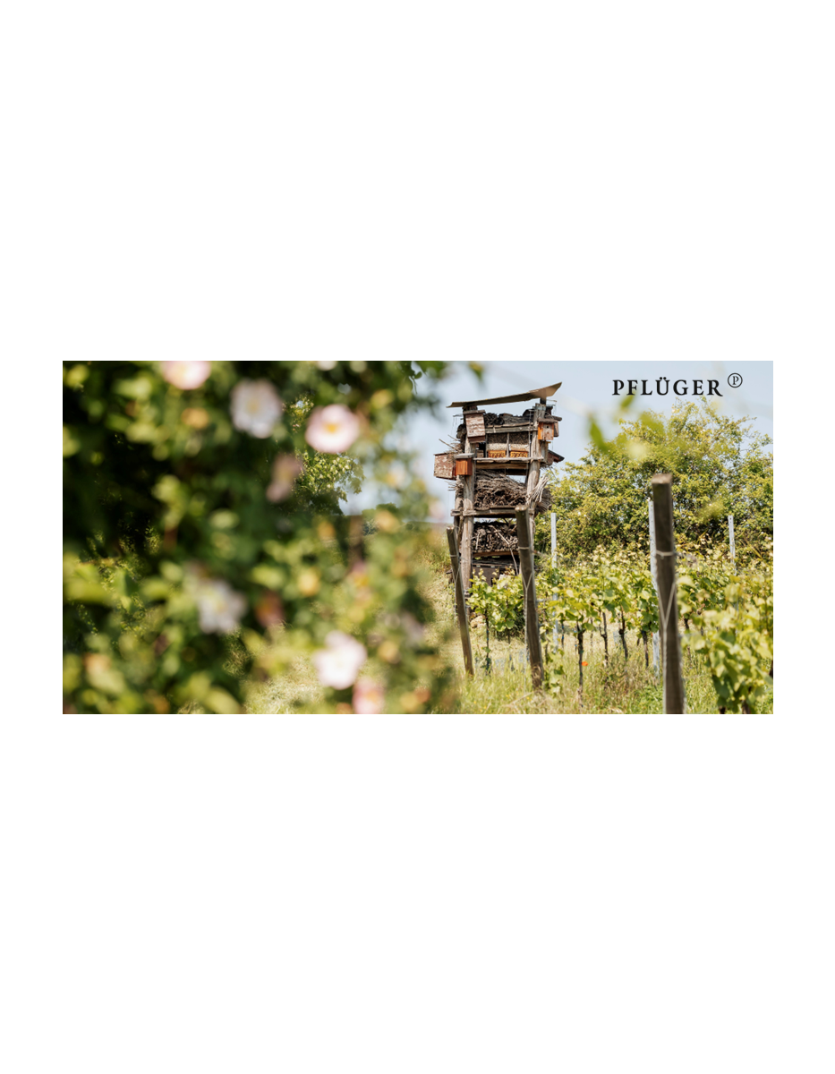 Produktphoto