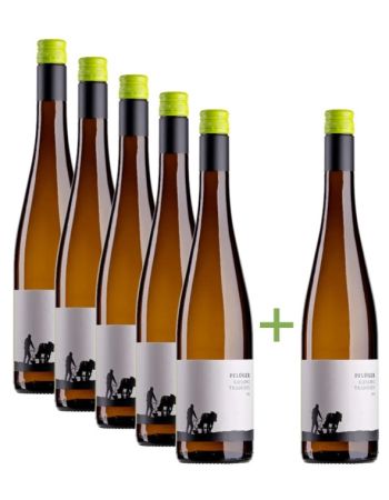 Riesling Tradition 5+1