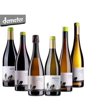 Weinpaket VIELFALT