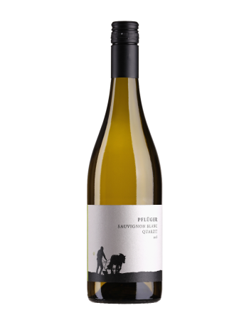 Sauvignon Blanc vom Quarzit