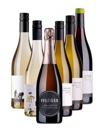 Pflüger Silvesterpaket