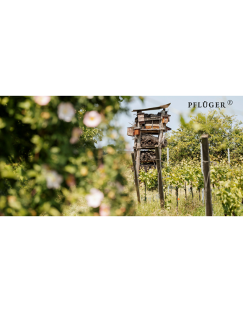 Grußkarte Lebensturm